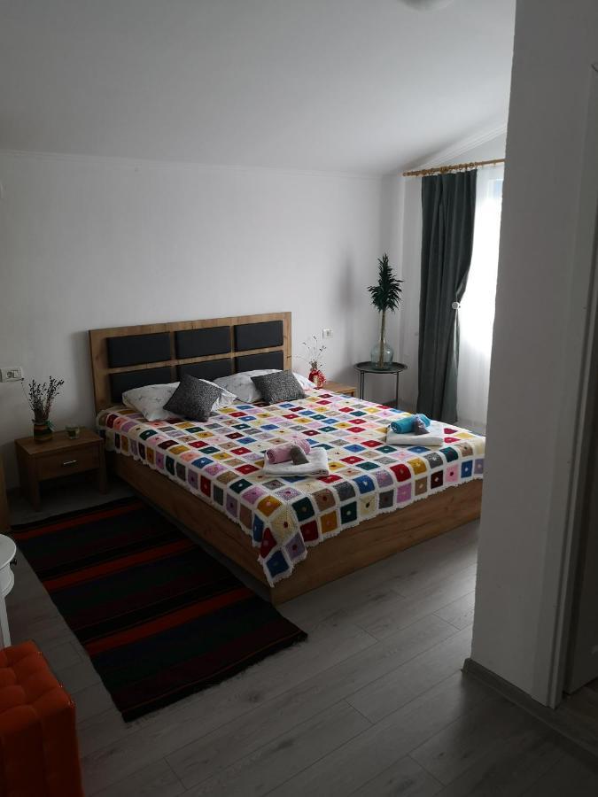 Hotel Casa David à Dunavăţu de Sus Extérieur photo