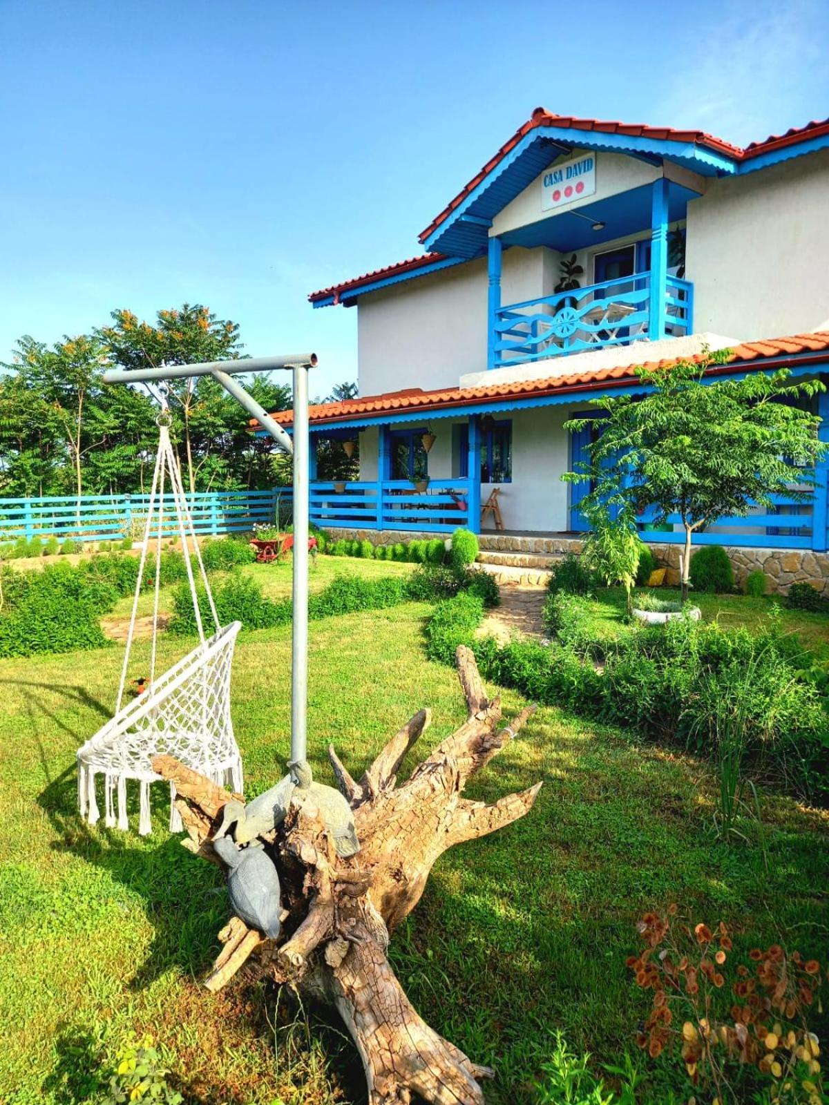 Hotel Casa David à Dunavăţu de Sus Extérieur photo