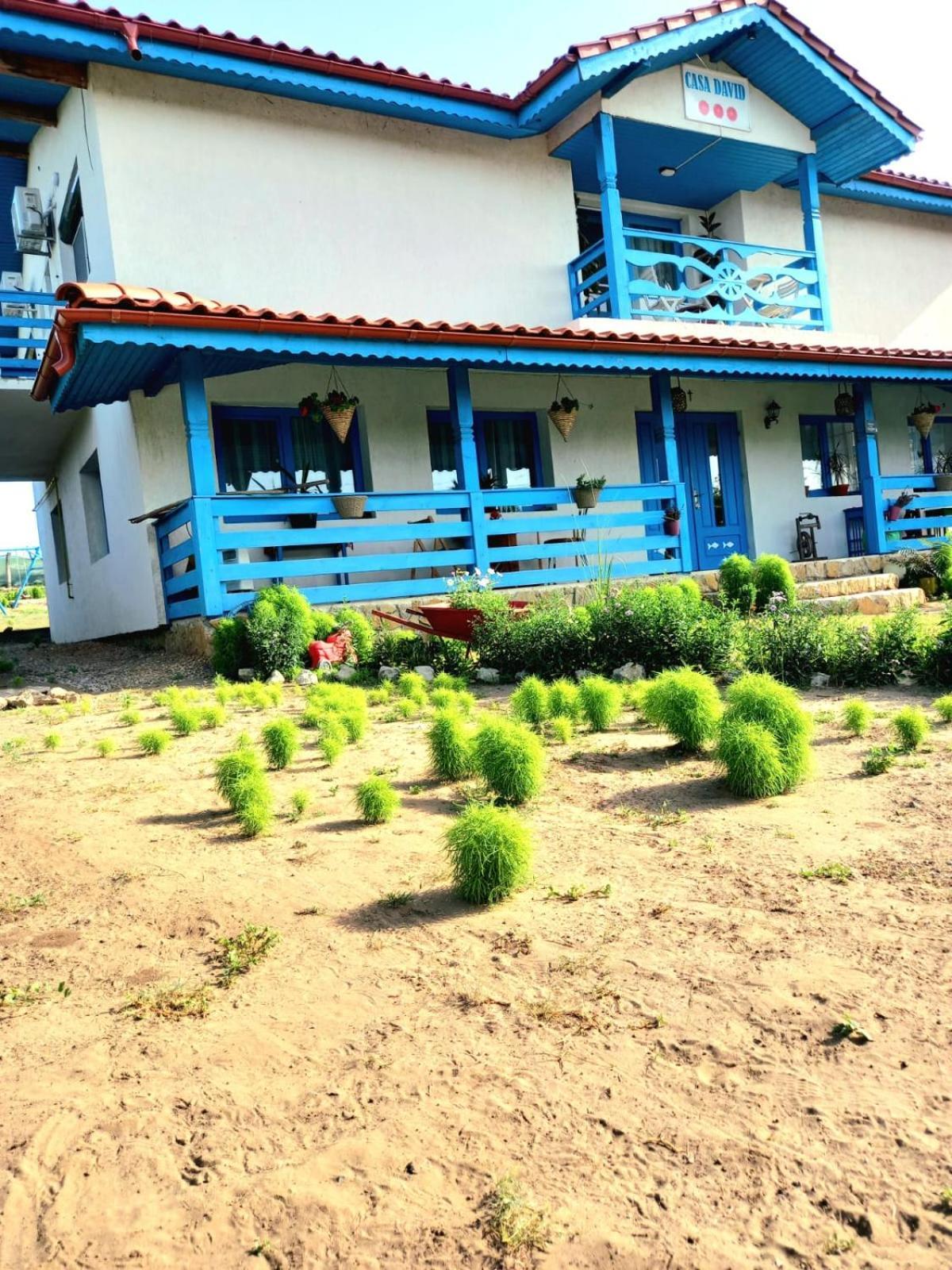 Hotel Casa David à Dunavăţu de Sus Extérieur photo